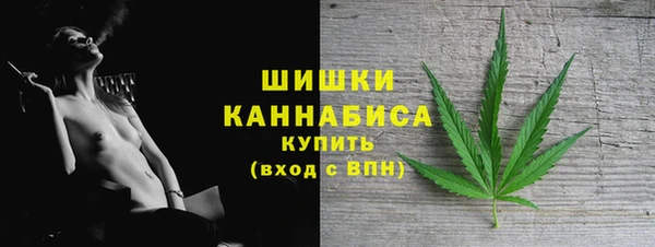 гашик Богданович