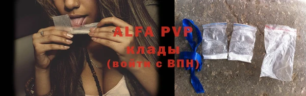 гашик Богданович