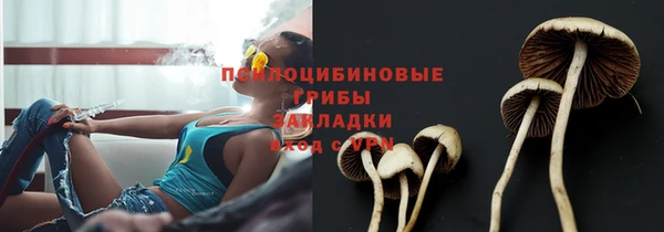 гашик Богданович