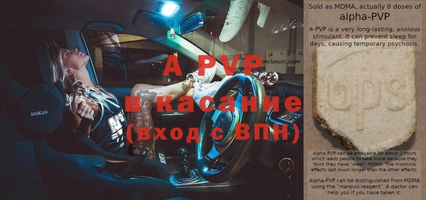 гашик Богданович